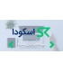 طراحی سایت فروشگاهی " فروشگاه اینترنتی اسکودا  "